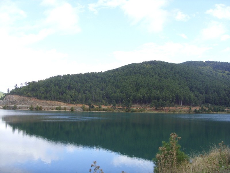 SDC14637.JPG
