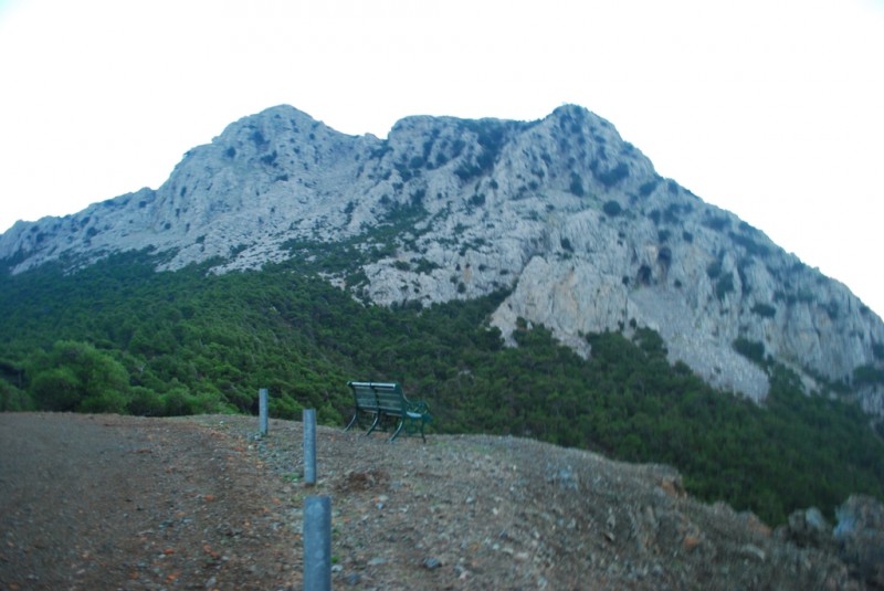DSC_3873.JPG