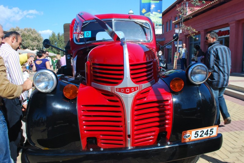 DSC_3903.JPG