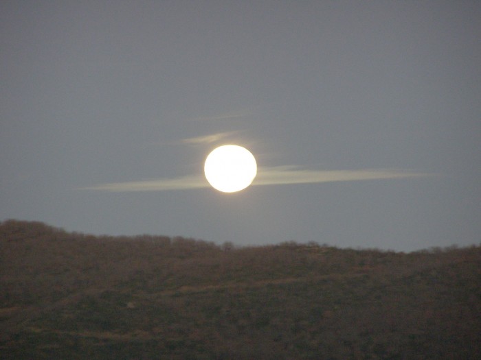 PC318018.JPG
