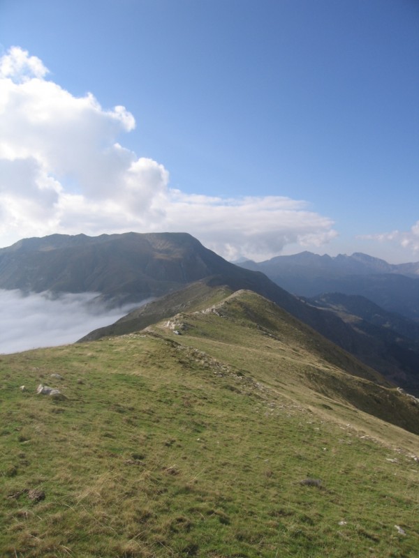 IMG_9151.jpg