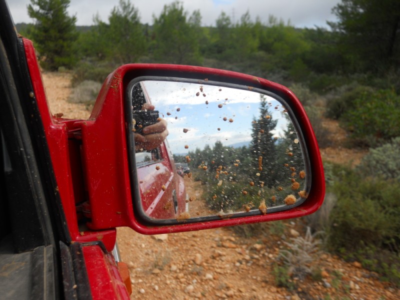DSCN0428.jpg