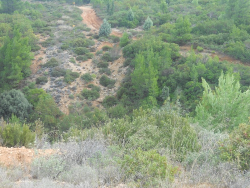 DSCN0430.jpg