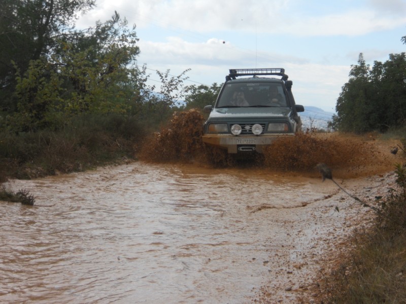 DSCN0454.jpg