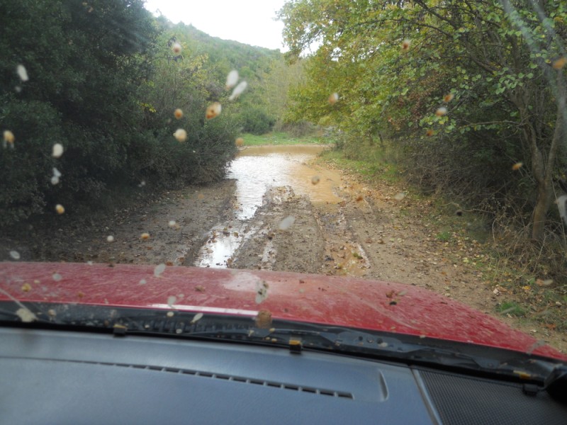 DSCN0476.jpg