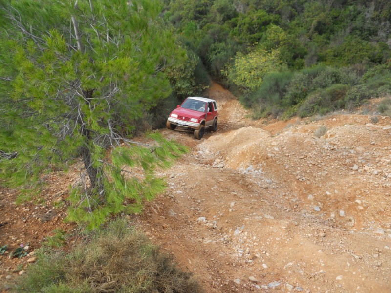 DSCN0459.jpg