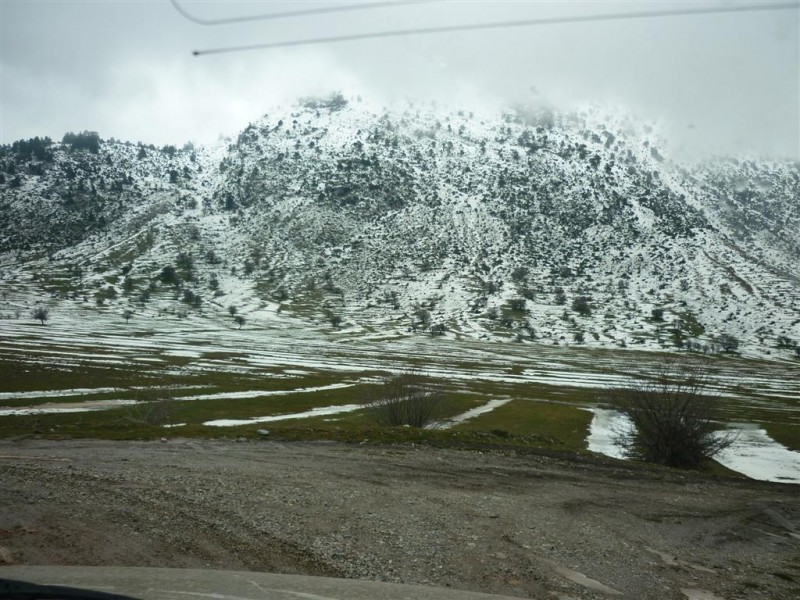 Παραμονή πίτας 2010 085 (Large).jpg