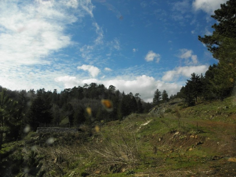 PB200219.jpg