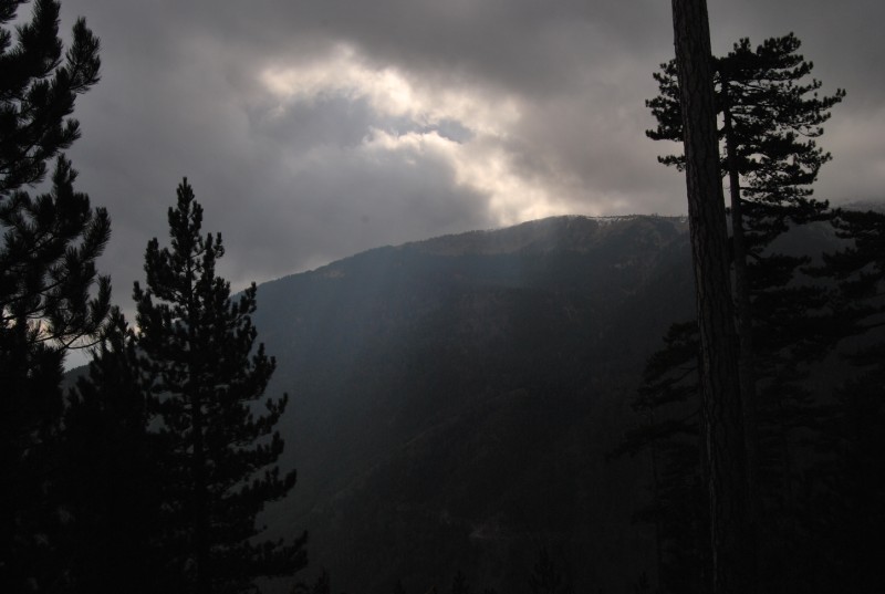 DSC_0247.jpg