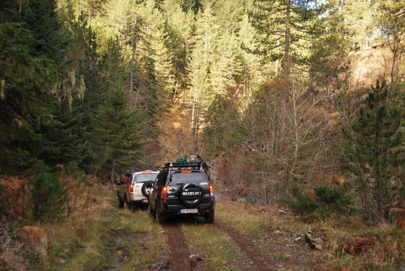 DSC_0189.jpg