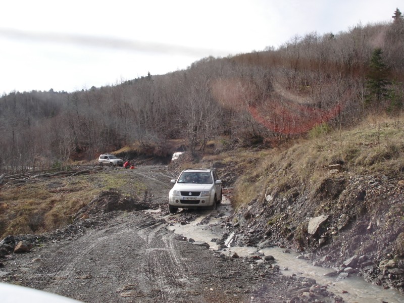 DSC09937.jpg