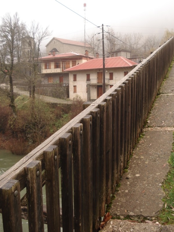DSC09875.jpg
