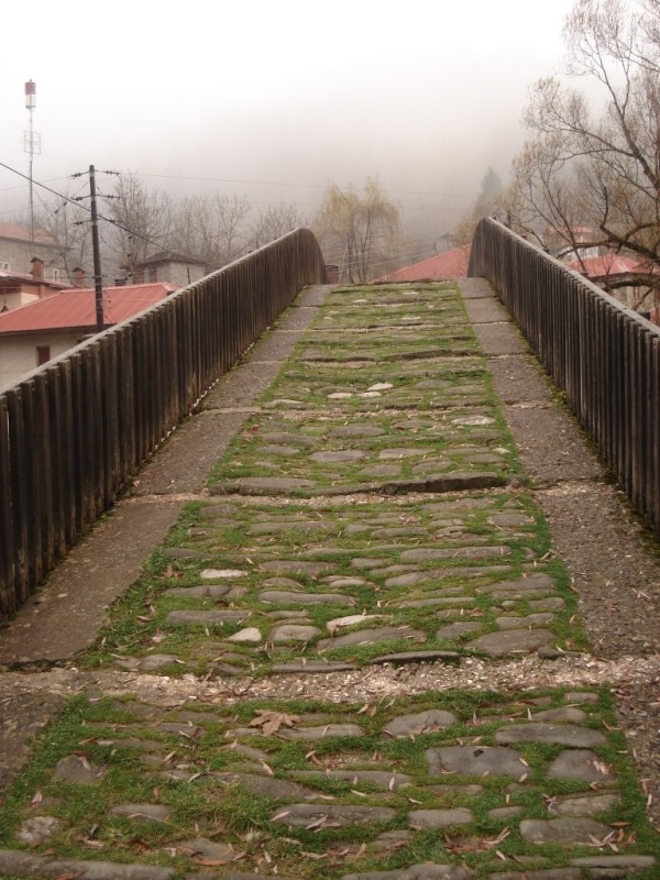 DSC09874.jpg