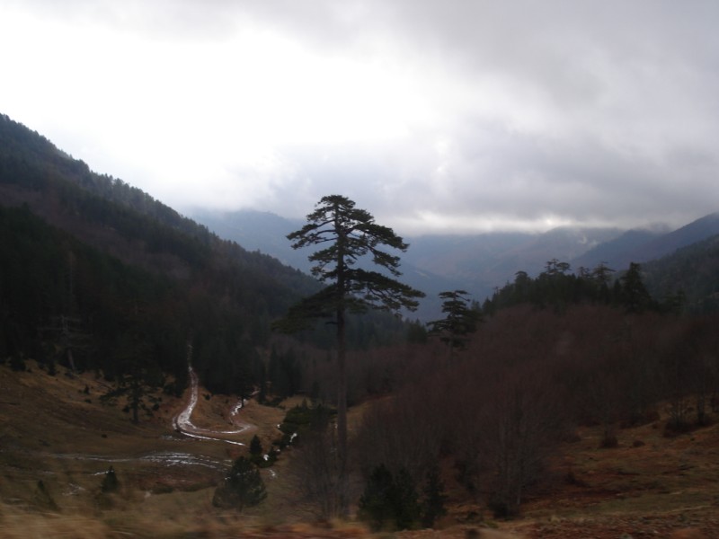 DSC00082.jpg