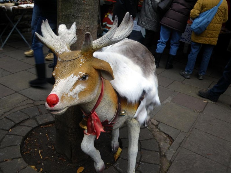 020_1024x768.jpg