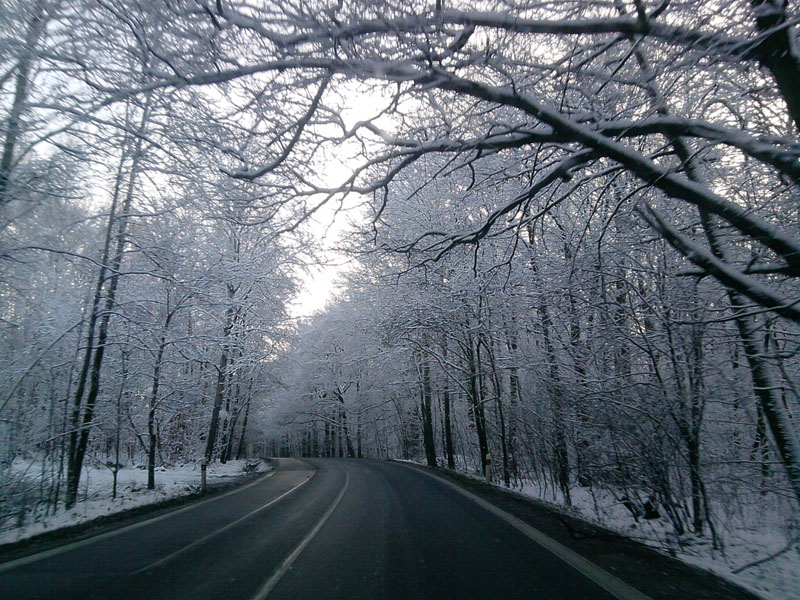 P271110_09.40_[01].jpg