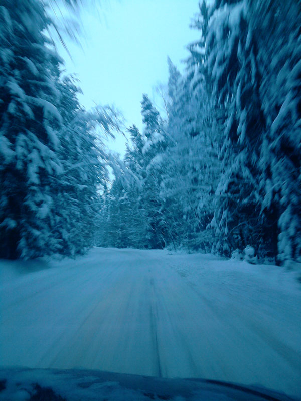 P021210_09.28_[01].jpg