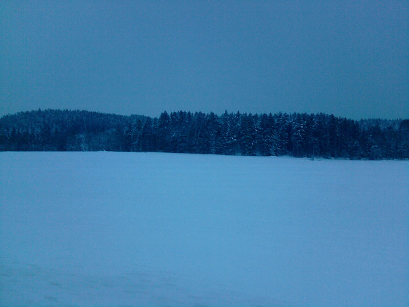 P021210_09.31.jpg