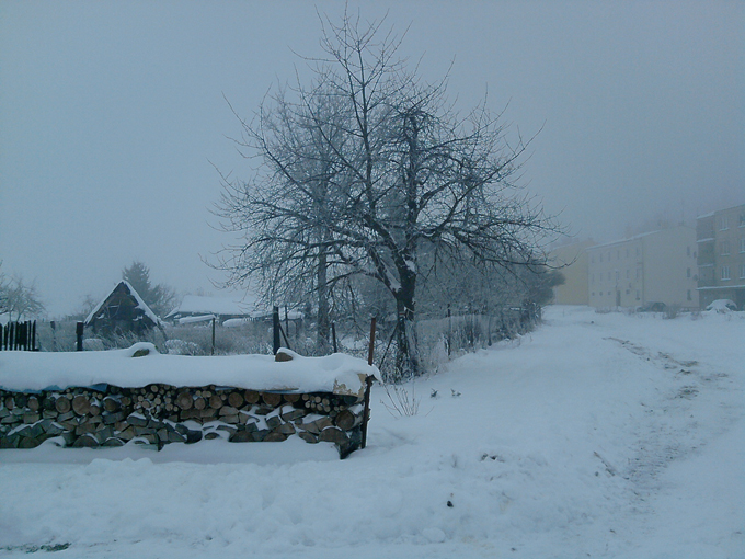 P031210_15.53_[01].jpg