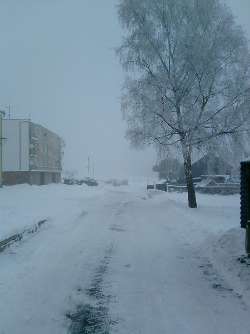 P031210_15.50.jpg
