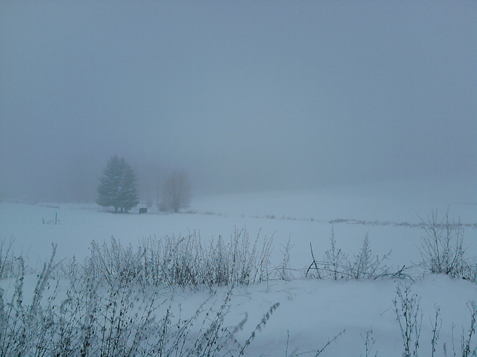 P031210_15.54_[01].jpg