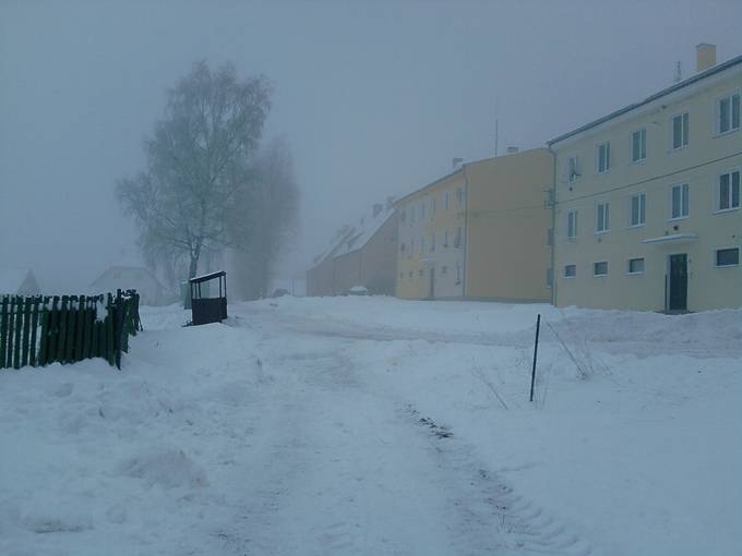P031210_15.56.jpg