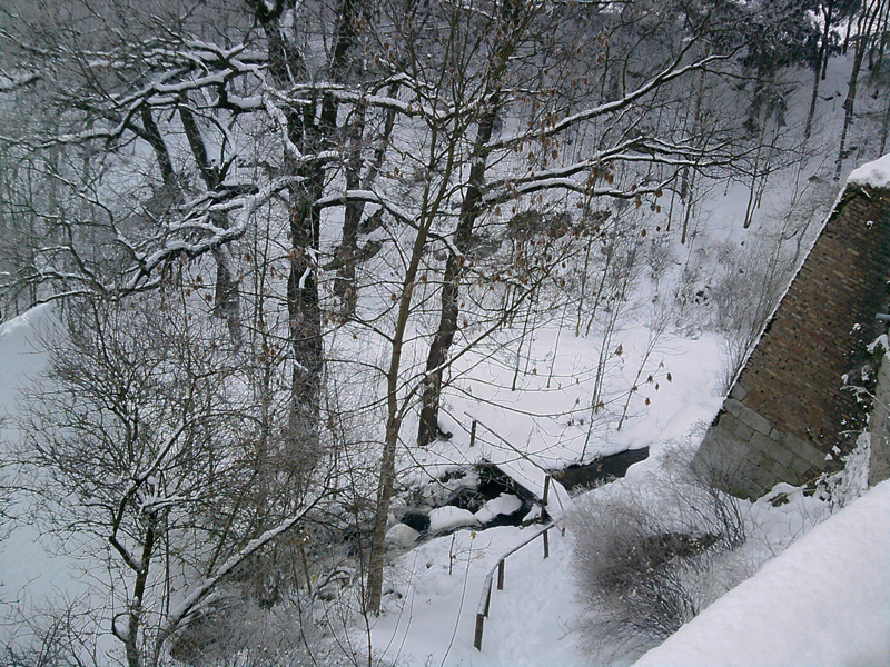 P041210_15.18_[01].jpg