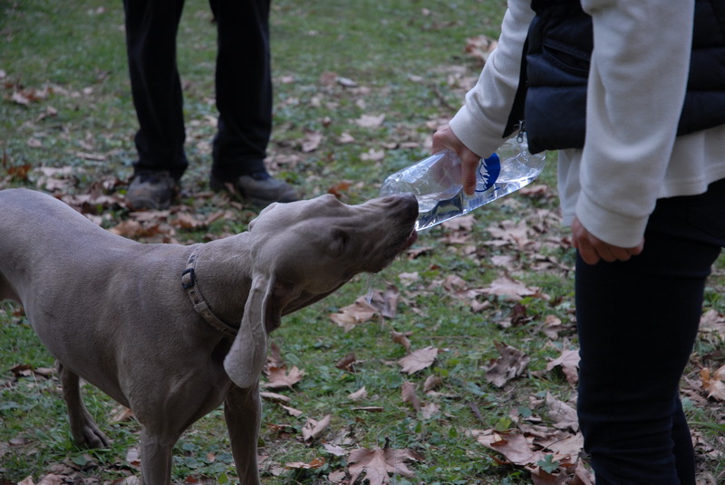 DSC_2714_resize.JPG