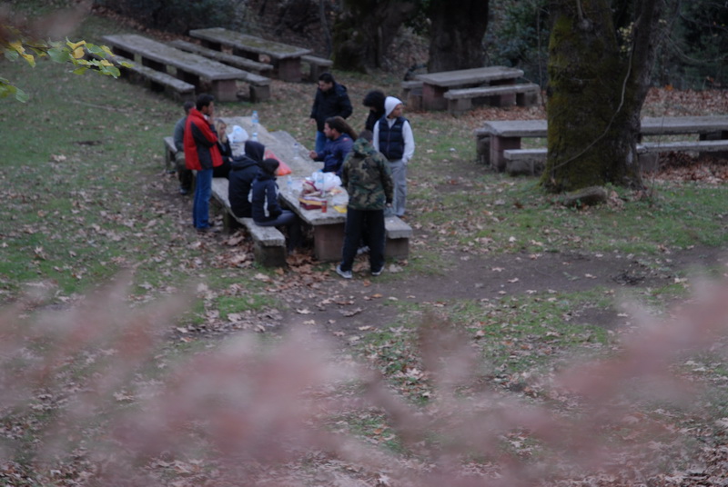 DSC_2710_resize.JPG