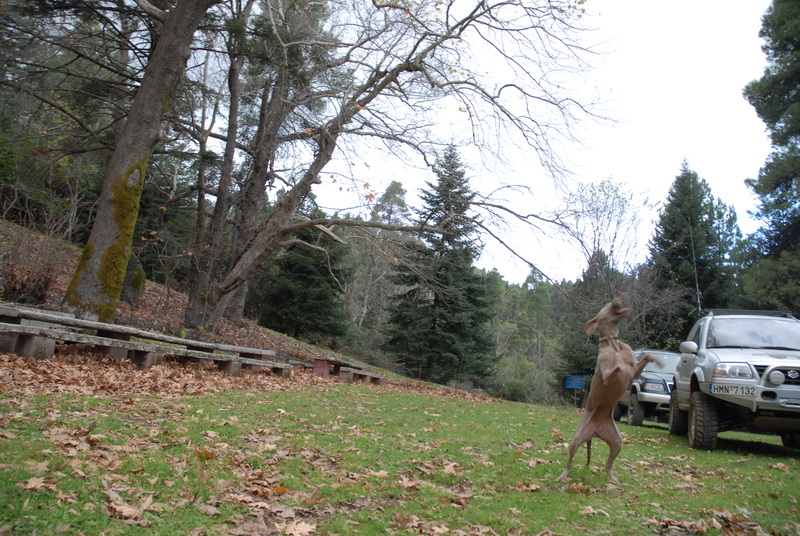 DSC_2718_resize.JPG