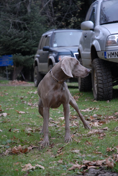 DSC_2716_resize.JPG