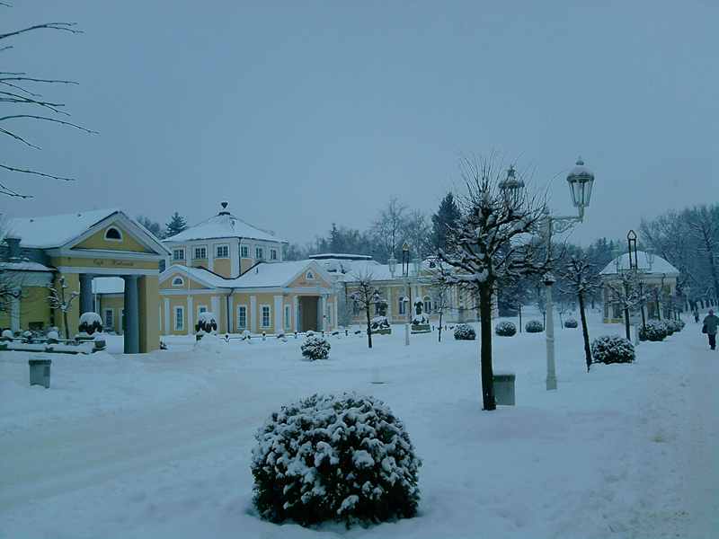 P061210_10.55.jpg