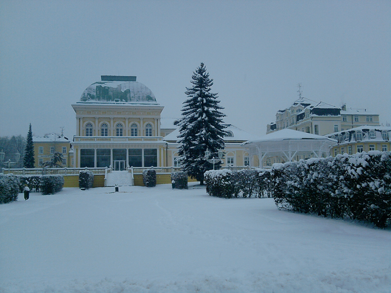 P061210_11.04.jpg