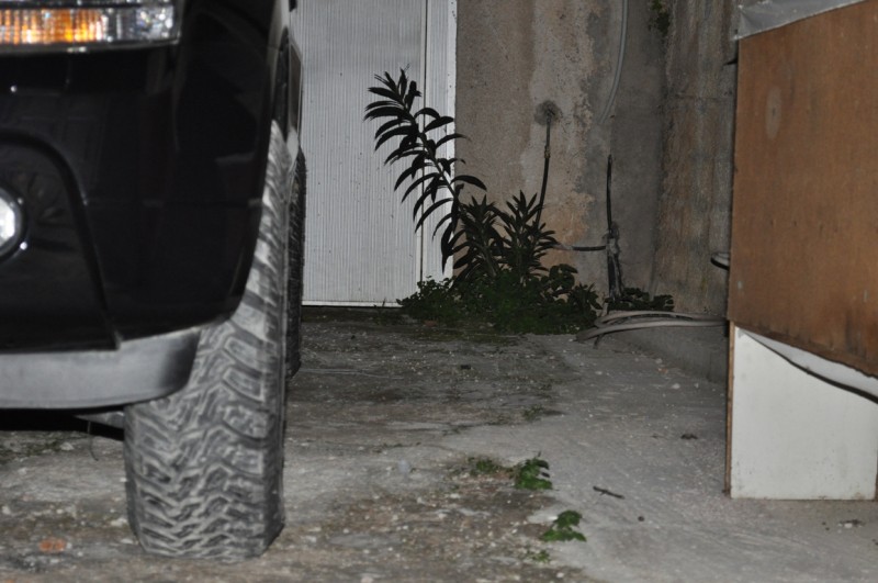 vitara 014.jpg