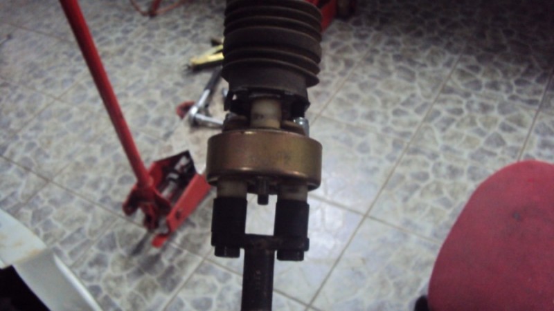 DSC01516.jpg