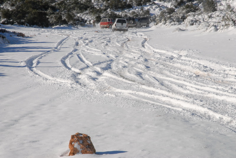 DSC_2918_resize.JPG