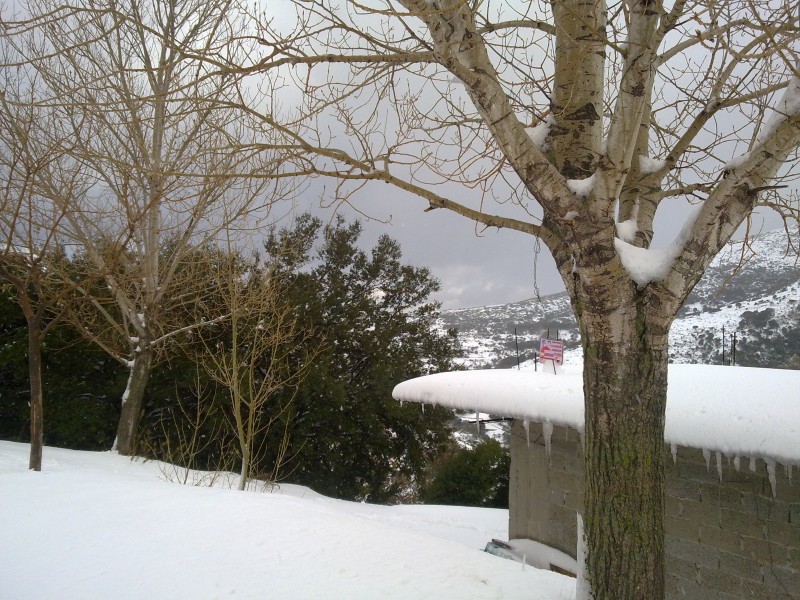Αντίγραφο από 12122010750.jpg