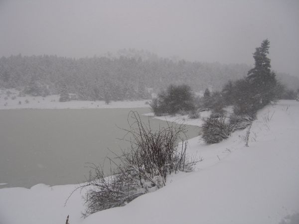 normal_DSC00081.jpg
