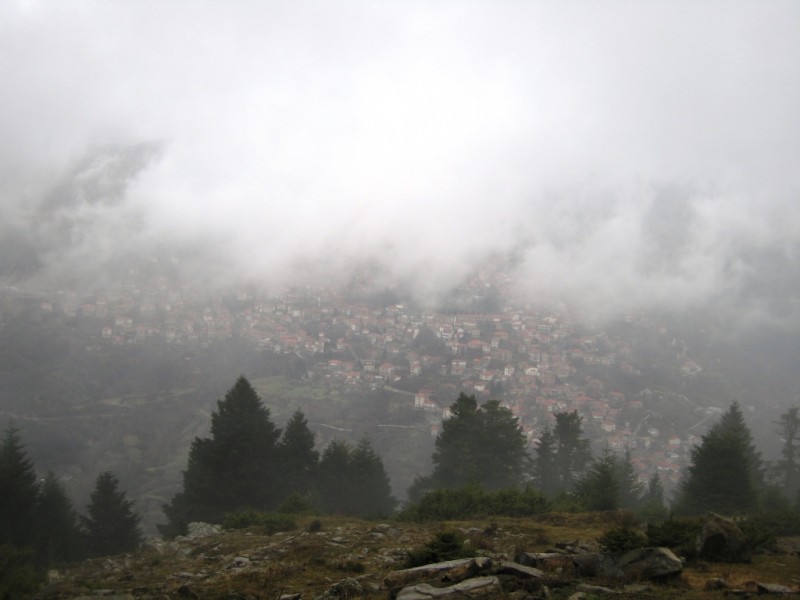IMG_9478.jpg