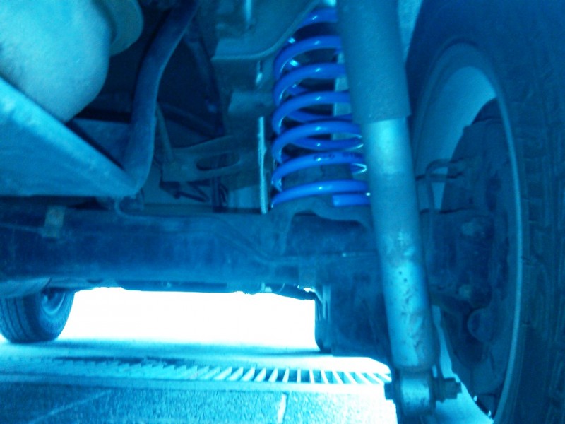 IMG00058-20101230-1444.jpg