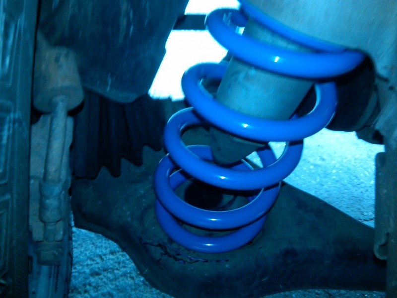IMG00060-20101230-1444.jpg