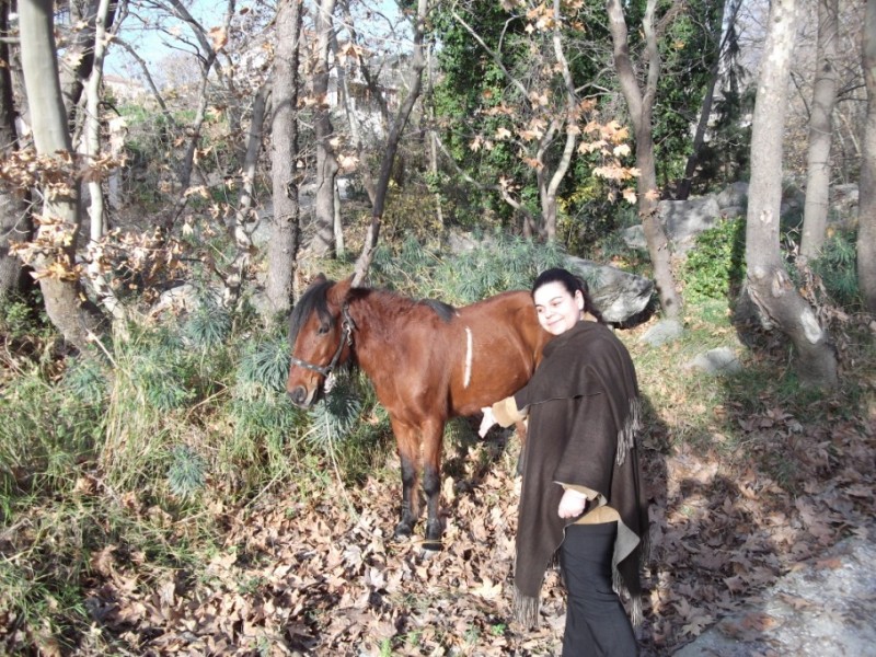 DSCF0123.jpg