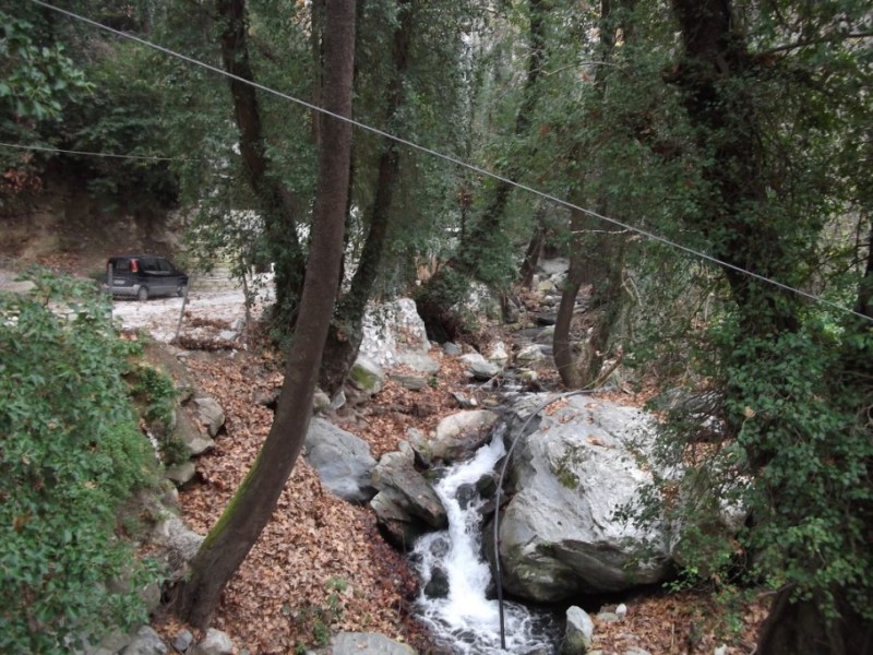DSCF0109.jpg