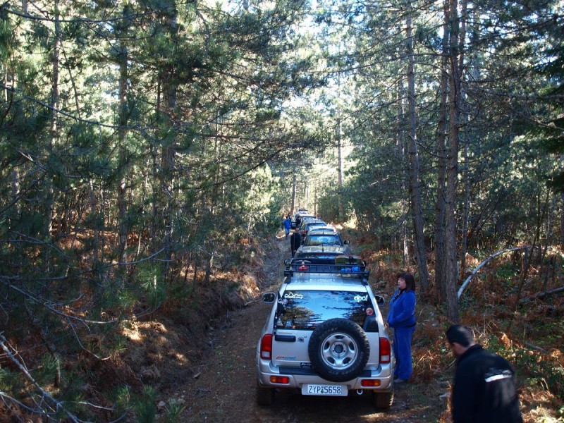 p1011981-qpr.jpg