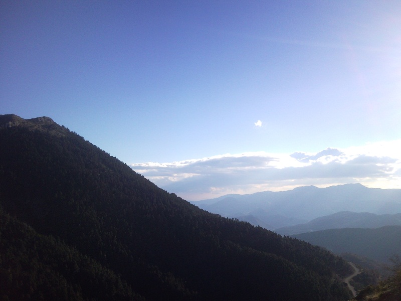 P110116_160615.jpg