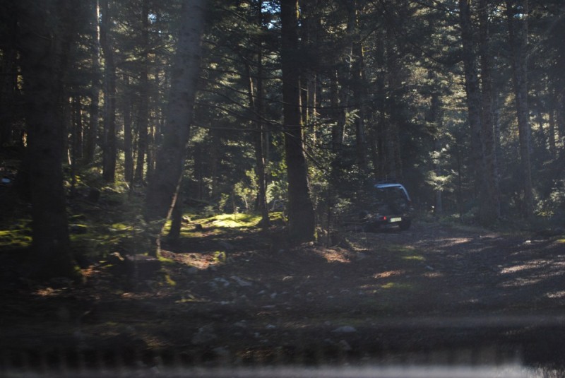 DSC_5322.jpg