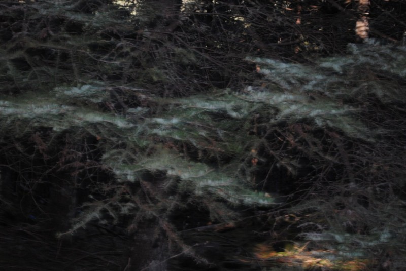 DSC_5328.jpg