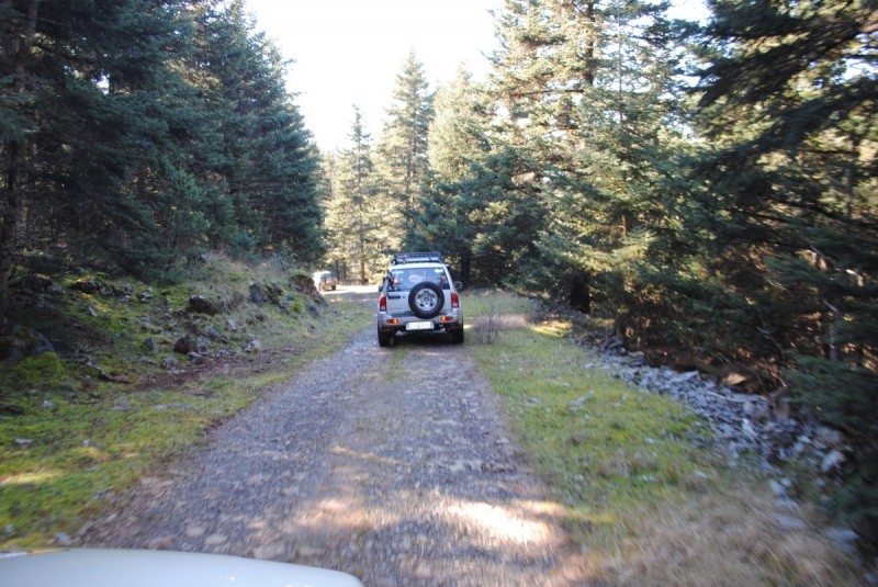 DSC_5332.jpg