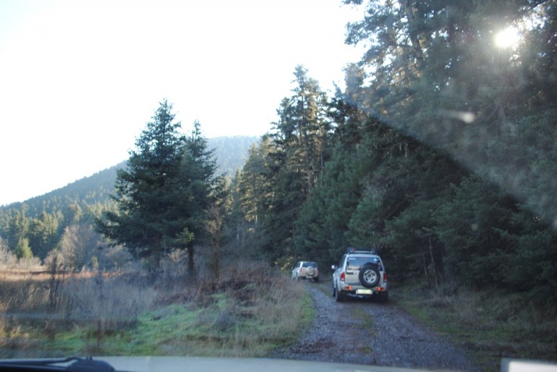 DSC_5334.jpg
