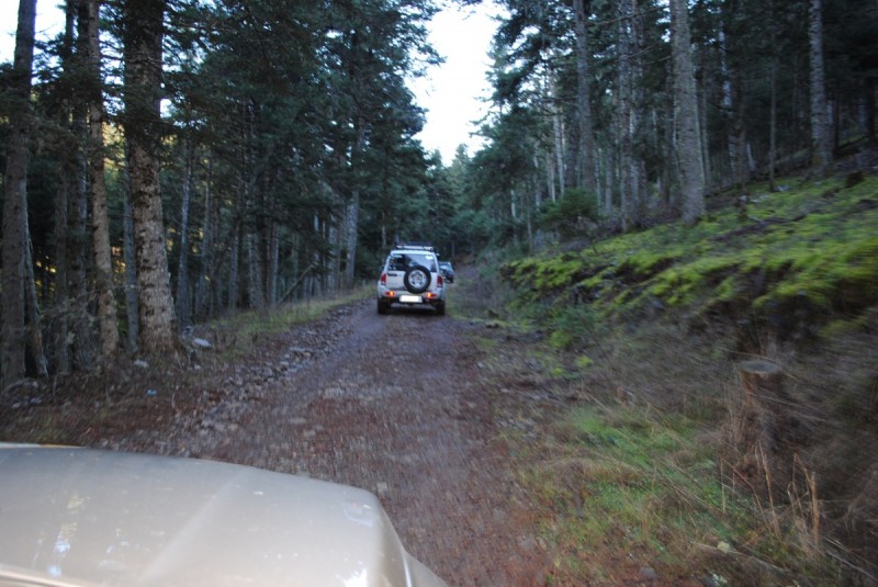 DSC_5335.jpg